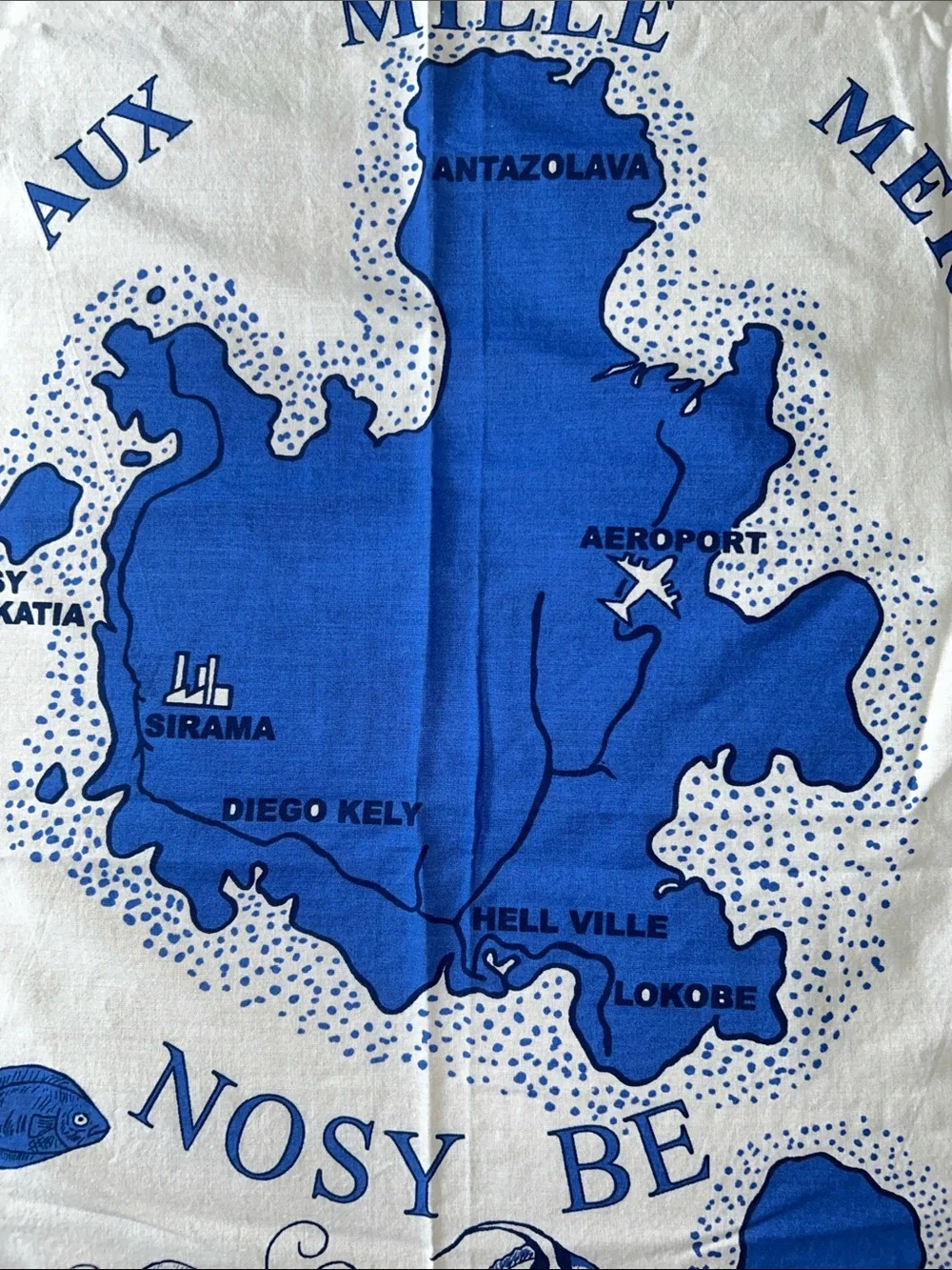 Vintage illustrated souvenir